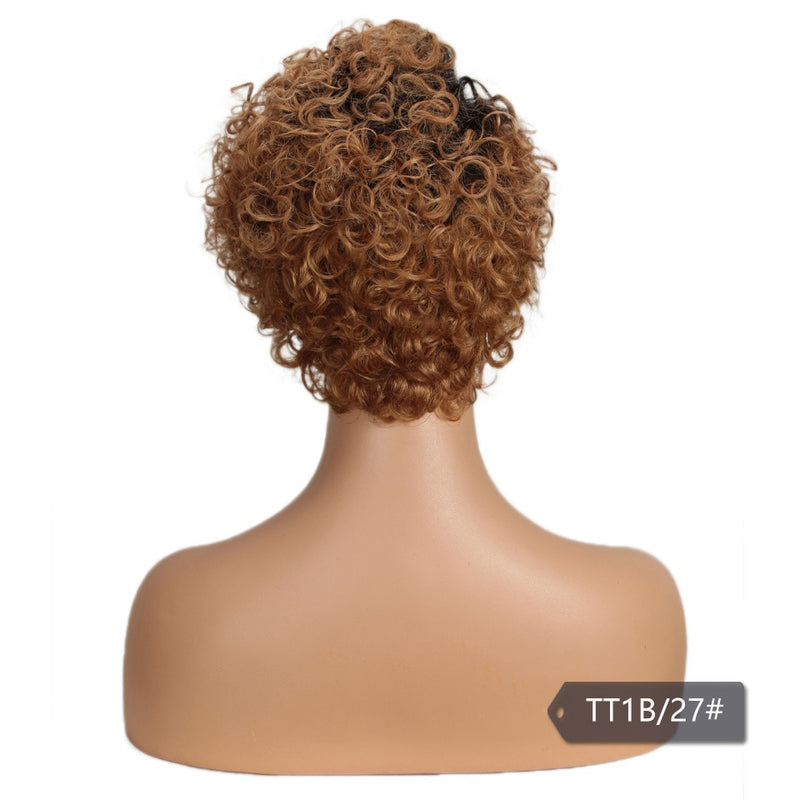 Trueme Short Curly Lace Front Human Hair Wig Brazilian Colored Human Hair Wigs For Women Ombre Blonde Black Jerry Curl Lace Wig